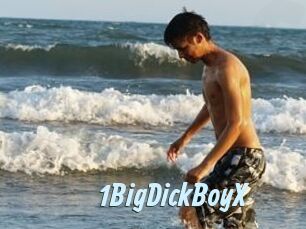 1BigDickBoyX