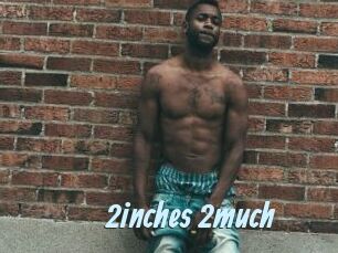 2inches_2much