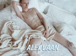 ALEX_VAAN
