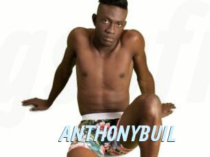 ANTHONYBUIL