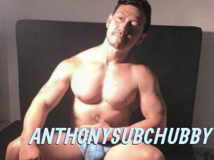 ANTHONYSUBCHUBBY