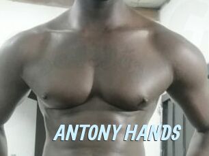 ANTONY_HANDS Gay Sex Prev