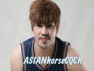 ASIANhorseCQCK