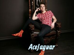 AceJaguar