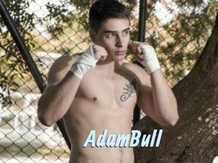 AdamBull