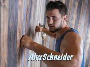 AlexSchneider Gay Sex Prev