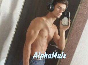 AlphaMale