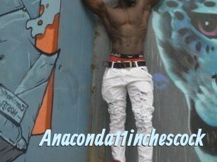 Anaconda11inchescock