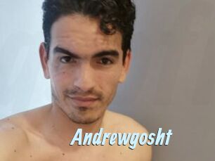 Andrewgosht