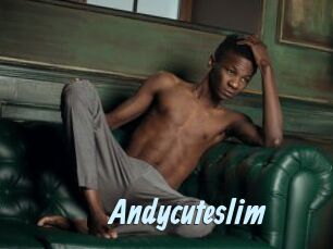 Andycuteslim