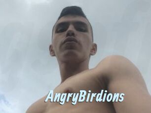 AngryBirdions