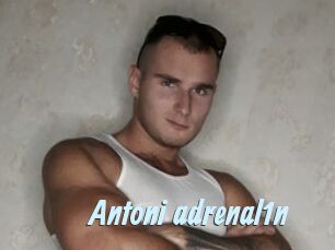 Antoni_adrenal1n