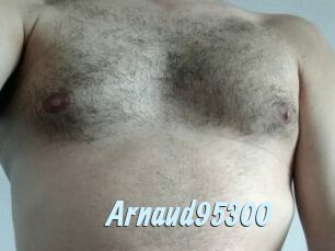 Arnaud95300