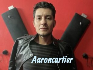 aaroncartier Gay Sex Prev