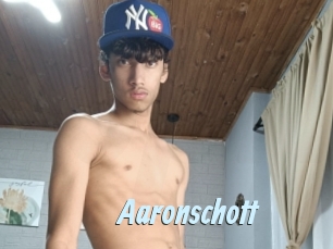 aaronschott Gay Sex Prev