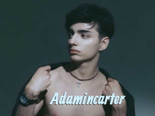 adamincarter Gay Sex Prev