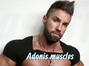 Adonis_muscles
