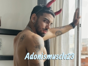 Adonismuscle23