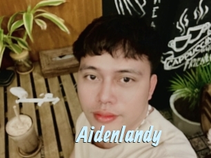 Aidenlandy