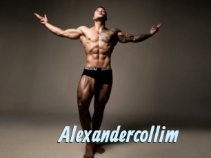 alexandercollim Gay Sex Prev