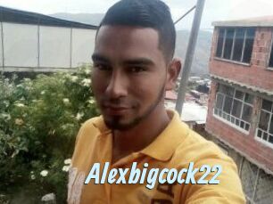 Alexbigcock22