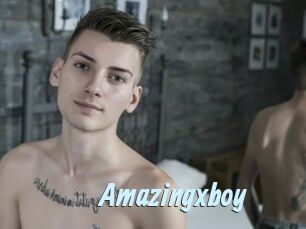 Amazingxboy