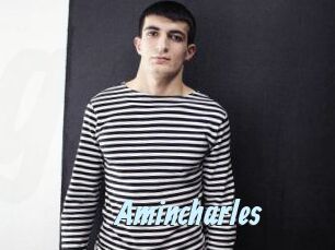 amincharles Gay Sex Prev