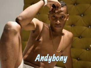 Andybony