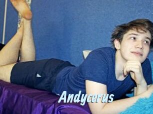 Andycerus