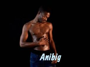 Anibig