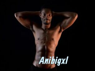 Anibigxl