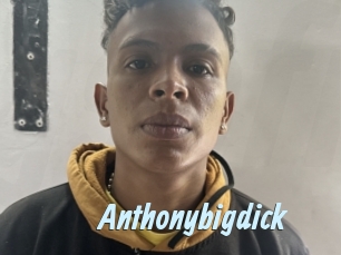 anthonybigdick Gay Sex Prev