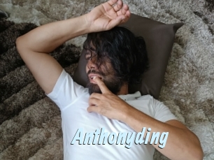 Anthonyding