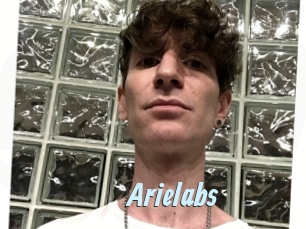 arielabs Gay Sex Prev