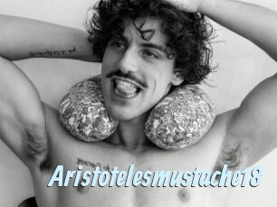 Aristotelesmustache18