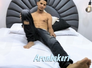 aronbekert Gay Sex Prev