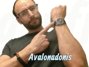 Avalonadonis