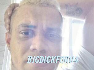 BIGDICKFORU4