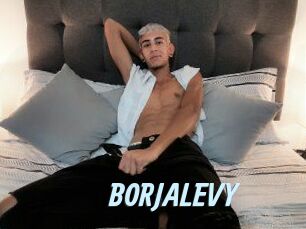 BORJALEVY