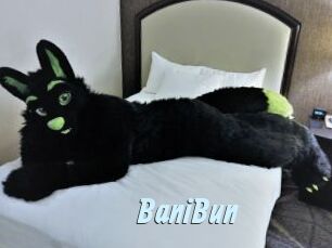 BaniBun