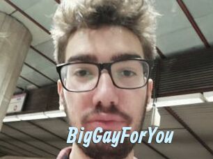 BigGayForYou