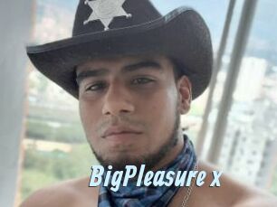 BigPleasure_x Gay Sex Prev