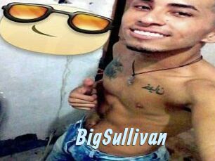 BigSullivan Gay Sex Prev