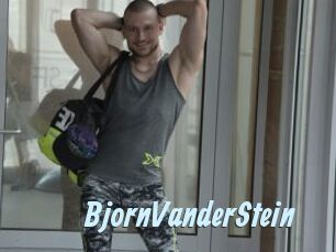 BjornVanderStein
