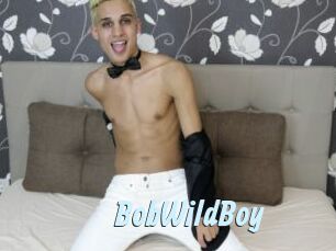 BobWildBoy