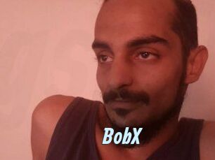 BobX