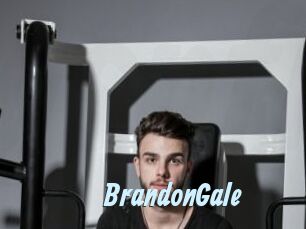 BrandonGale Gay Sex Prev