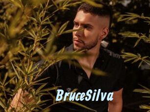 BruceSilva