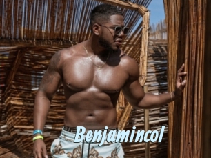benjamincol Gay Sex Prev