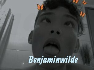 Benjaminwilde